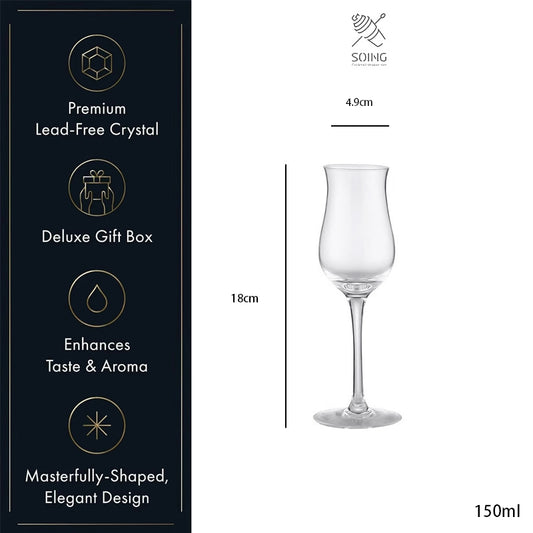 150ml Champagne Flute Glasses - Demi Blooming Tulipa